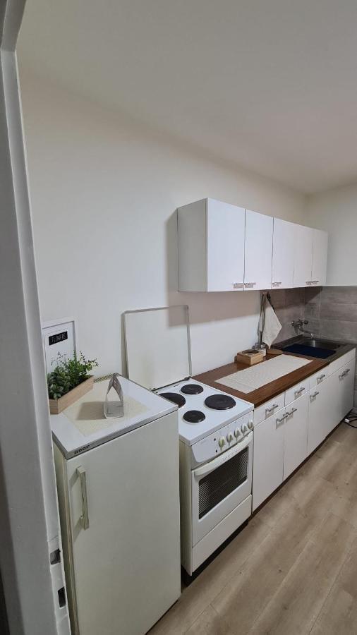 Apartman Pavlovic レスコヴァツ エクステリア 写真
